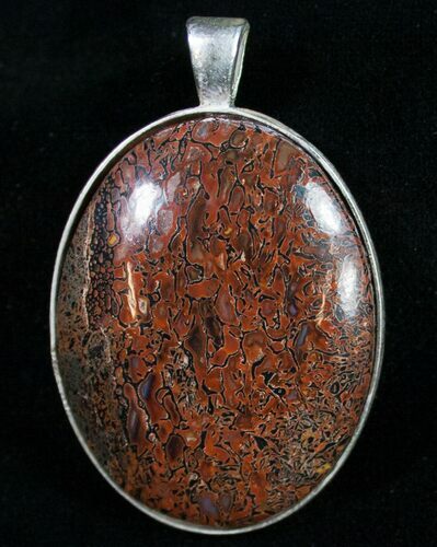 Agatized Dinosaur Bone Pendant #9356